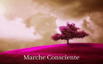 Marche Consciente