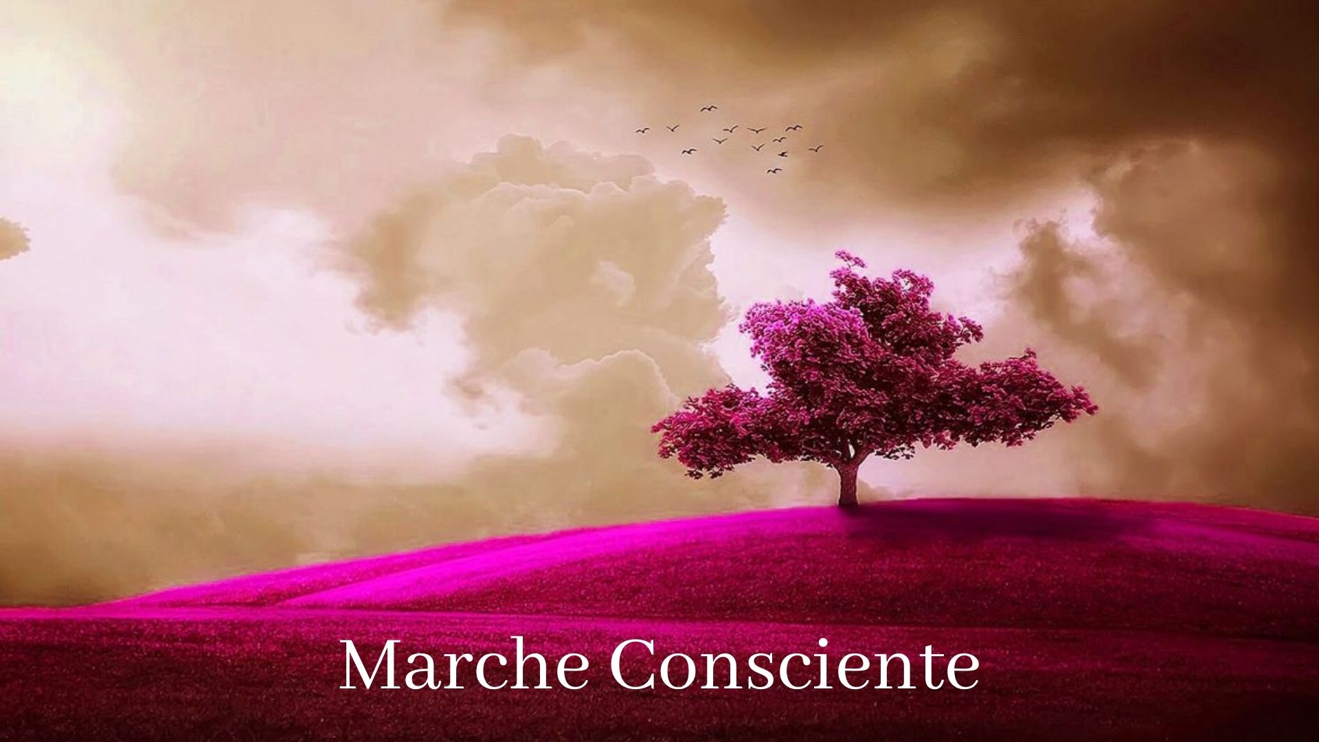 Soins-energetiques-Vendee